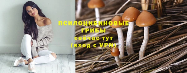 прущая мука Лабытнанги