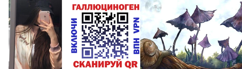 магазин  наркотиков  Ужур  blacksprut рабочий сайт  Псилоцибиновые грибы мухоморы 